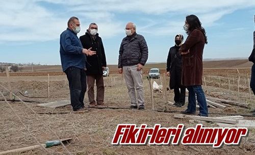 Fikirleri alınıyor