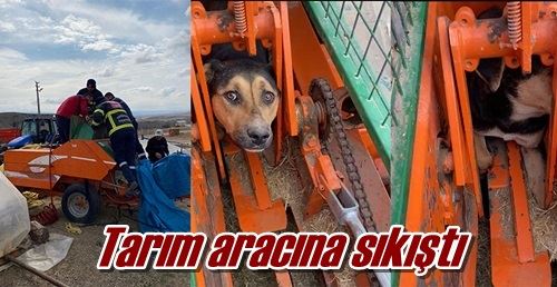 Tarım aracına sıkıştı