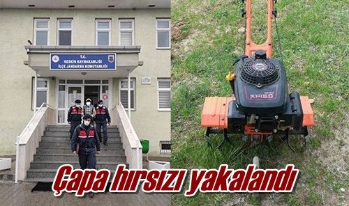 Çapa hırsızı yakalandı