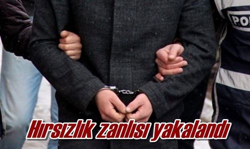 Hırsızlık zanlısı yakalandı