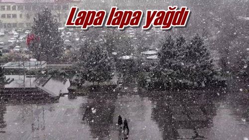 Lapa lapa yağdı