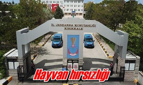 Hayvan hırsızlığı
