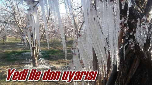 Yedi ile don uyarısı