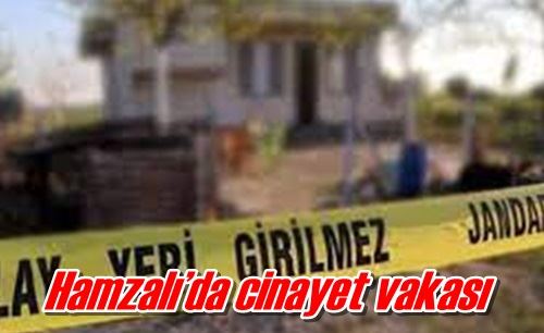 Hamzalı’da cinayet vakası