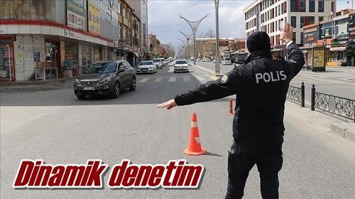 Dinamik denetim