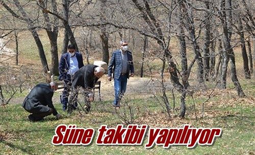 Süne takibi yapılıyor