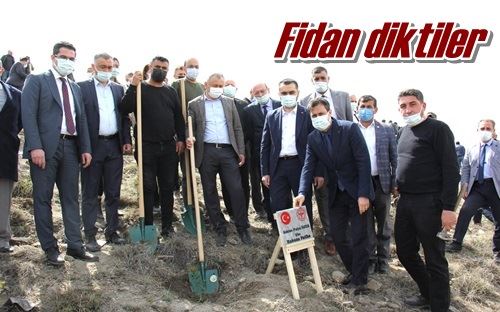 Fidan diktiler