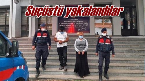 Suçüstü yakalandılar