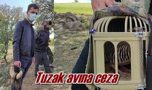 Tuzak avına ceza