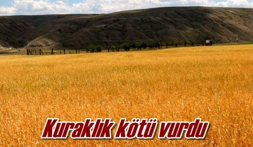 Kuraklık kötü vurdu