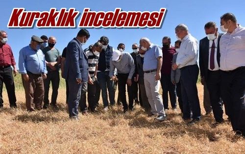 Kuraklık incelemesi