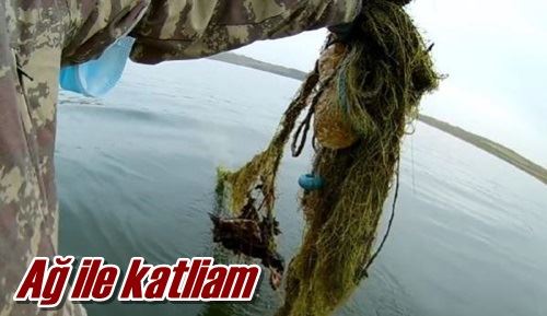 Ağ ile katliam