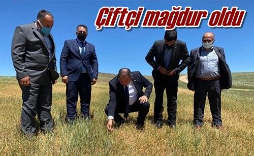 Çiftçi mağdur oldu