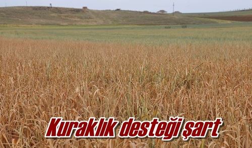 Kuraklık desteği şart