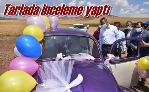 Tarlada inceleme yaptı