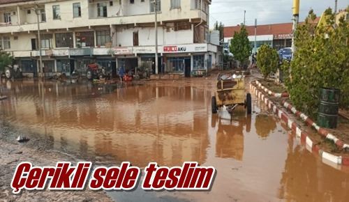 Çerikli sele teslim