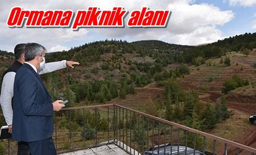 Ormana piknik alanı