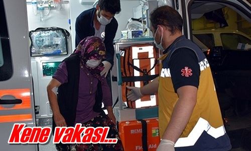 Kene vakası…