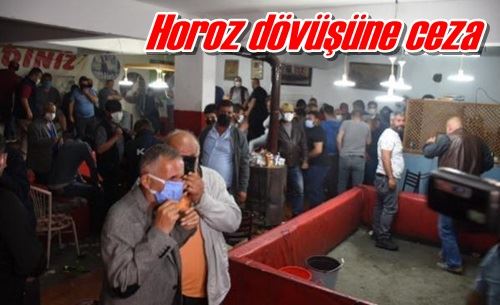 Horoz dövüşüne ceza