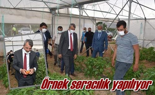 Örnek seracılık yapılıyor