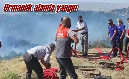 Ormanlık alanda yangın
