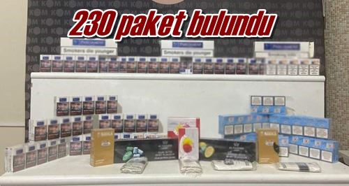 230 paket bulundu