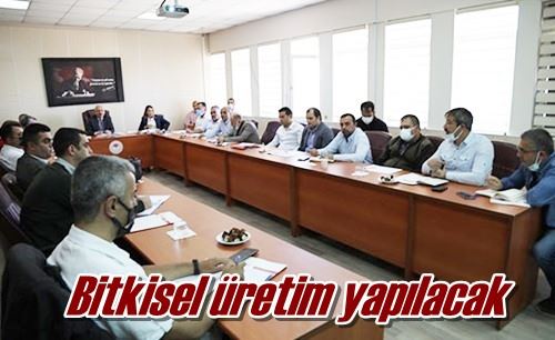 Bitkisel üretim yapılacak