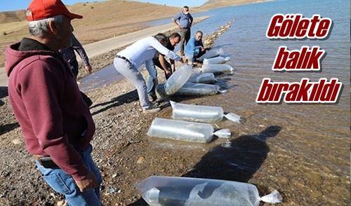 Gölete balık bırakıldı