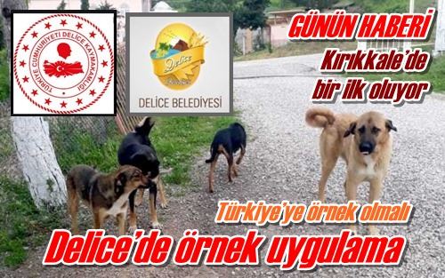 Kırıkkale’de bir ilk oluyor