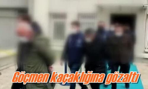 Göçmen kaçaklığına gözaltı