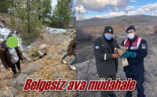 Belgesiz ava müdahale