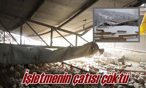 İşletmenin çatısı çöktü