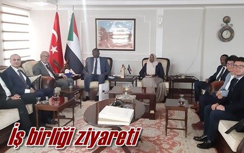 İş birliği ziyareti