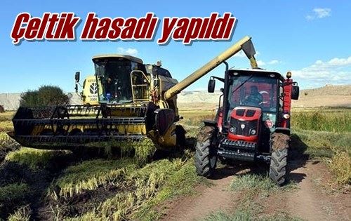 Çeltik hasadı yapıldı