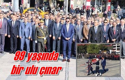 99 yaşında bir çınar