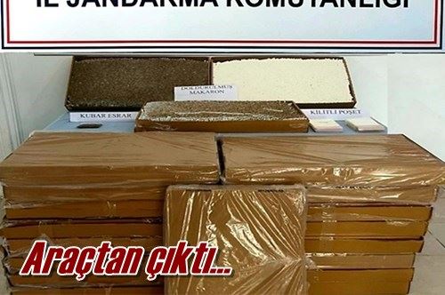 Araçtan çıktı