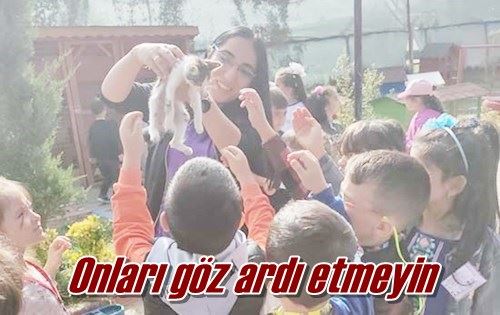 Onları göz ardı etmeyin