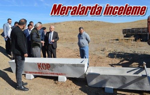 Meralarda inceleme