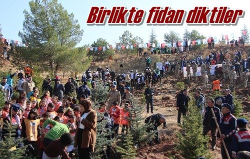 Birlikte fidan diktiler