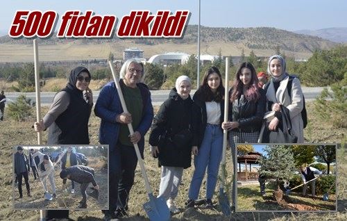 500 fidan dikildi