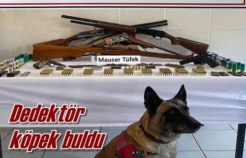 Dedektör köpek buldu