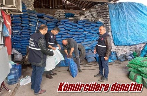 Kömürcülere denetim
