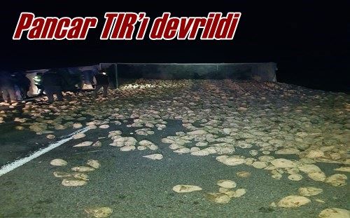 Pancar TIR’ı devrildi