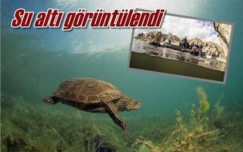 Su altı görüntülendi