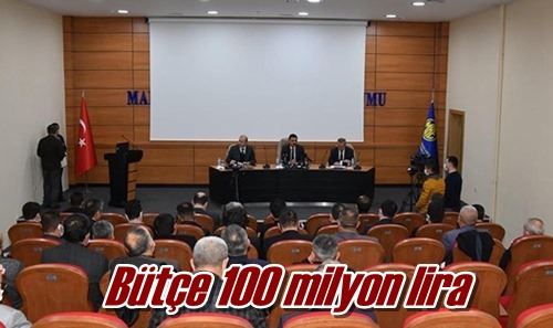 Bütçe 100 milyon lira