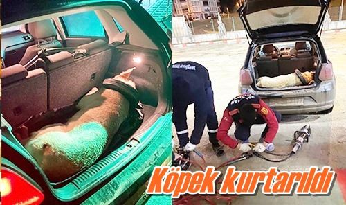 Köpek kurtarıldı