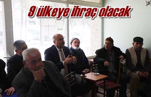 9 ülkeye ihraç olacak