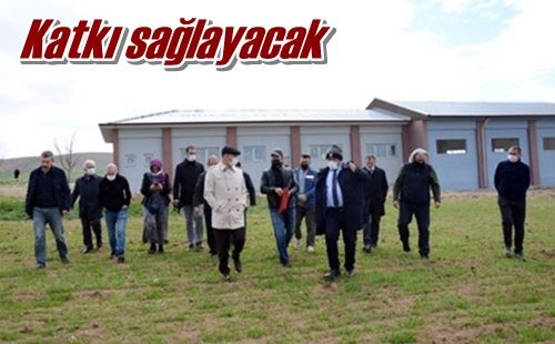Katkı sağlayacak