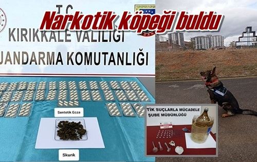 Narkotik köpeği buldu