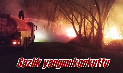 Sazlık yangını korkuttu